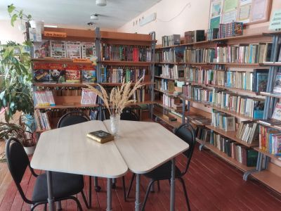 Островская сельская библиотека