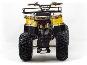 Квадроцикл MOTOLAND 150 Maverick