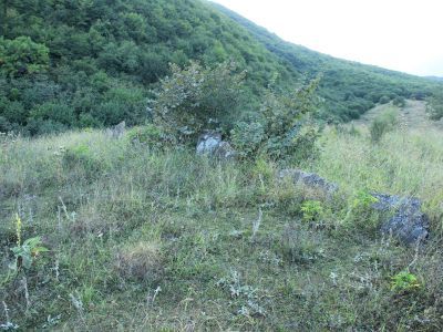 Кладбище поселения "Пажарин гъул"