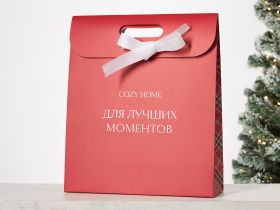 Пакет подарочный Cozy Home 30х10х35