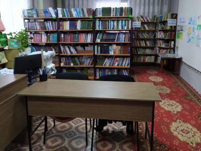 Нижнеалькеевская сельская библиотека