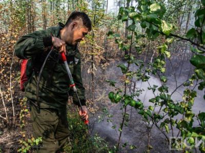 Семь лесных пожаров тушат в пяти районах Якутии