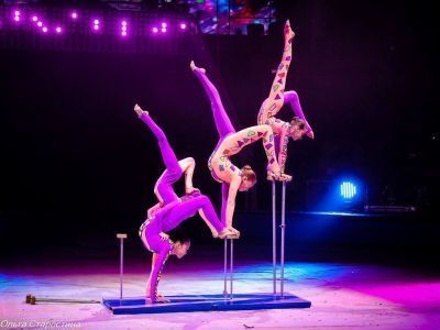 Звезды цирка. Определились победители международного фестиваля «Мамонтенок»