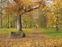 Музей-усадьба «Суйда»