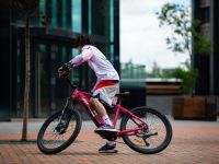 Электровелосипед Alpine Bike Alpinebike Finsteraarhorn, год 2025, цвет Розовый, ростовка 18