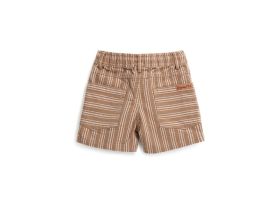 Шорты для маленького мальчика