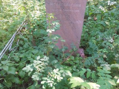 Могила С.Д.Мстиславского