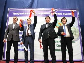 Фотоподборка: памяти Александра Борисова