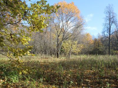 Удмуртско-марийское священное место «Булда»/«Ильма чара»