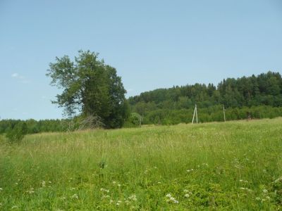 Парк