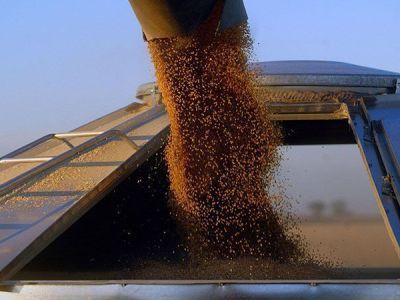 Путин предложил помочь с кризисом продовольствия при снятии санкций