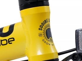 Детский велосипед Maxiscoo S009 16, год 2024, цвет Розовый