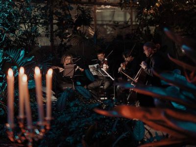Магия свечей. Queen symphony в оранжерее (Оранжерея Таврического сада)