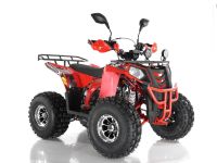 Квадроцикл WELS Thunder Evo X