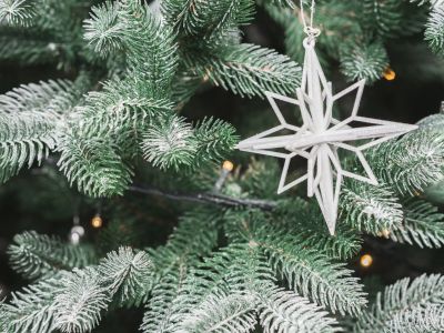 Билеты на Самая красивая звезда (Филармония) / Театр | Афиша | ИнфоТаймс