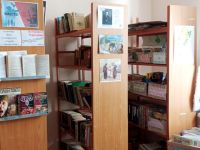 Большепикинская библиотека