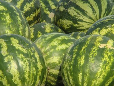 Как выбрать спелый арбуз