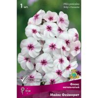 Флокс метельчатый Майкс Фейворит