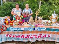 Библиотека п. Арей