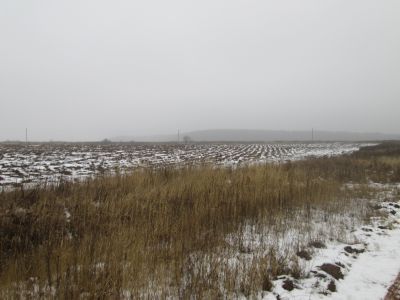Памятное место, где в 1944 г. погибли, при разминировании  поля, комсомольцы-минеры: Н. Стукалов, Е. Романенков, И. Моисеенков и Е. Родченков