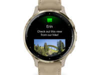 Смарт-часы Garmin Venu 3s Soft Gold French Gray Leather (010-02785-55)