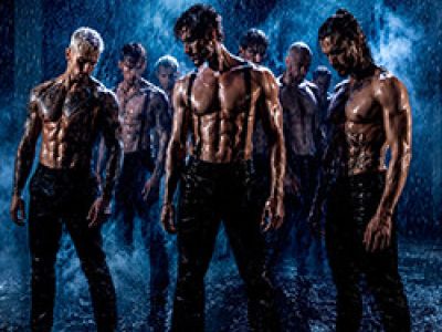 Сезон Дождей