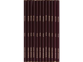 Набор карандашей цветных VISTA-ARTISTA "Fine" Skintones 12 цв, заточенный