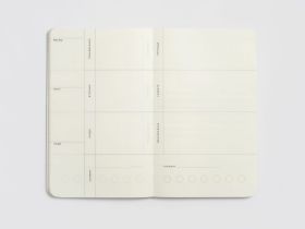 Планер недатированный Falafel books I’m fine pale pink