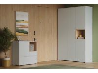 Распашной шкаф Висмар 3-153x240 Пепельный