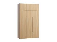 Распашной шкаф Ренар 3.1-150x260 Дуб Барбера