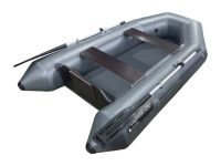 Лодка ПВХ BIG BOAT Т250