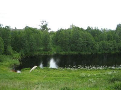 Парк бывшего женского монастыря