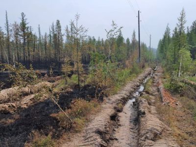 Энергетики восстанавливают поврежденные лесным пожаром линии в Верхневилюйском районе