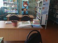 Усть-Хойзинская сельская библиотека