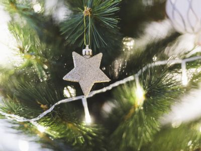 Билеты на Сказочное новогодие в Прикамье. Проказы Шуралешки (ДК «Искра») / Событие | Афиша | ИнфоТаймс