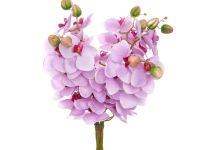 Цветок Sigillo