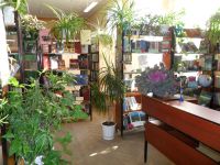 Дубовская центральная районная библиотека