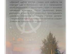 Набор кистей Pinax MASTERS CHOICE SET V для масла 11 шт, ассорти