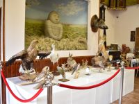 Морозовский краеведческий музей