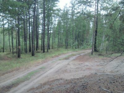 Стало известно, куда можно выехать на отдых на природе в окрестностях Якутска