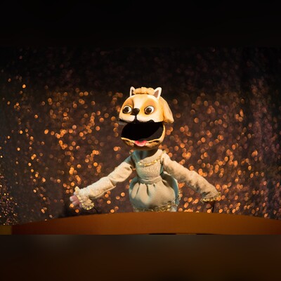 Кошкин дом