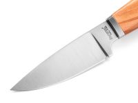 Нож с фиксированным клинком LionSteel Willy, сталь М390, рукоять оливковое дерево