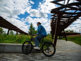 Электровелосипед Alpine Bike Dammastock, год 2025, цвет Коричневый, ростовка 18