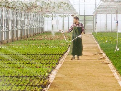 В Роскачество поступили первые 30 заявок на сертификацию органики