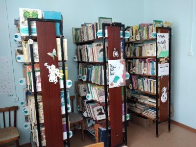 Лопатинская библиотека