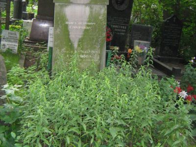 Могила Смирнова Павла Петровича (1882-1947)