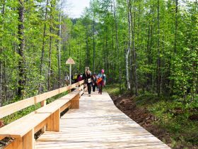 Сплав по реке Лена с посещением Ленских Столбов, тукуланов-песков Самыс Кумага и Кысыл Элэсин