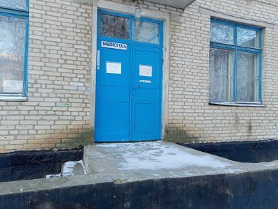 Нижне-Саловская сельская библиотека