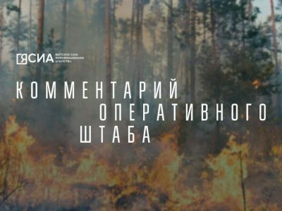 В Якутии обнаружили еще один лесной пожар