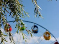 Парк «Дубки»